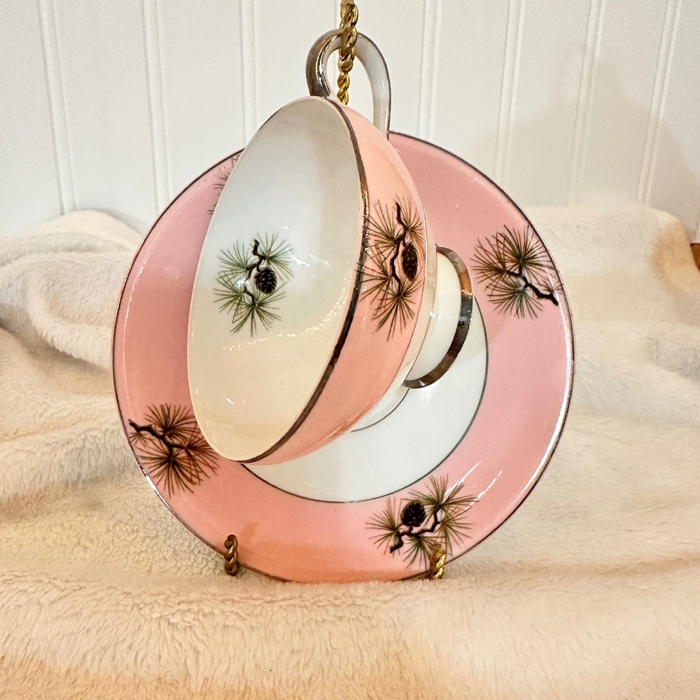 Unbranded Vintage Tea Cup and Saucer Set Pink Excellent Pine Cone Silver Trim